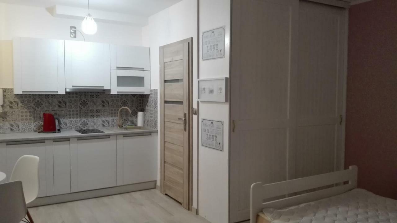 Apartament Lux Monika Rewal Z Tarasem I Garazem エクステリア 写真